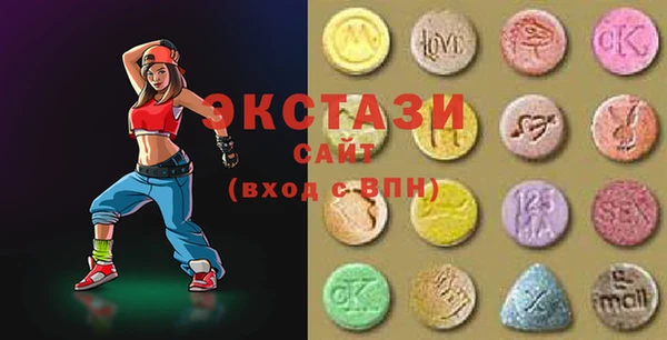 индика Козельск