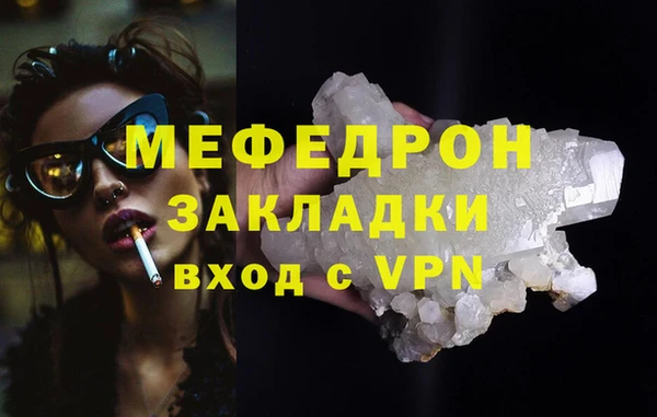 индика Козельск
