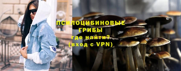 спиды Костерёво