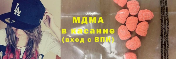 индика Козельск