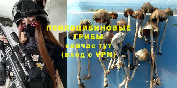 ПСИЛОЦИБИНОВЫЕ ГРИБЫ Коряжма