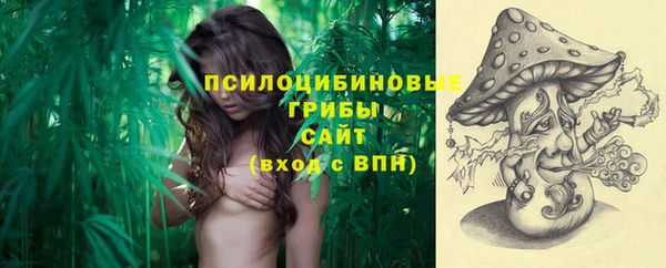 спиды Костерёво