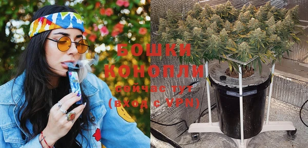 ПСИЛОЦИБИНОВЫЕ ГРИБЫ Коряжма