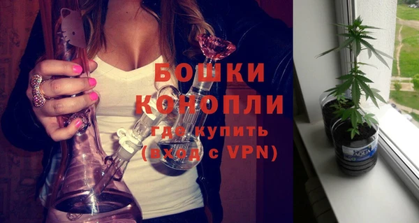 индика Козельск