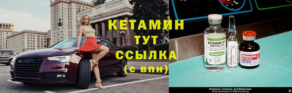 индика Козельск