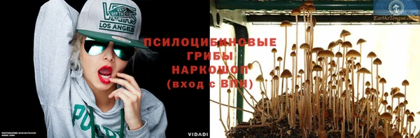 спиды Костерёво